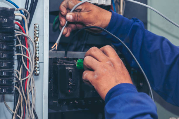 Best Local Electrician Companies  in Charlotte Park, FL